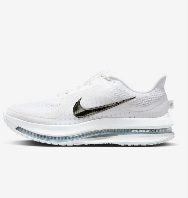 나이키 페가수스 프리미엄 남성 로드 러닝화(증정품 수납백), 255, HQ2592-102(증정품 수납백)