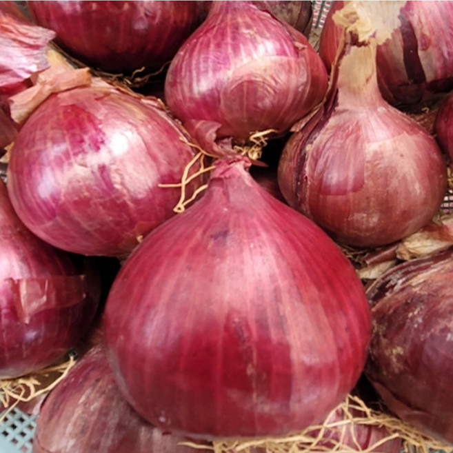 해풍맞고 자란 전남 무안 황토골 자색양파 25년 햇양파 출시, 1박스, 3kg (중대혼합)