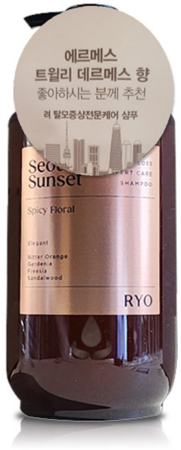 려 자양윤모 샴푸 서울석양, 585ml, 3개