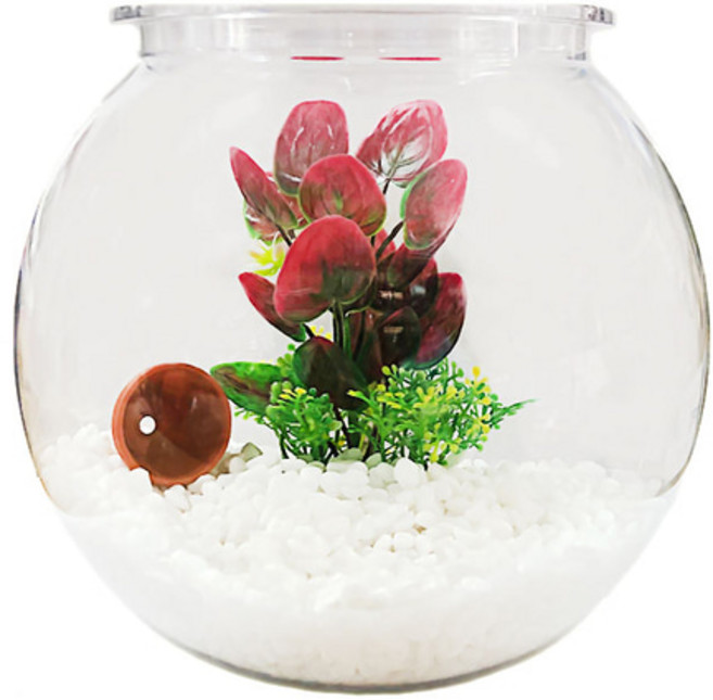치어 어항 세트 [중], 1개