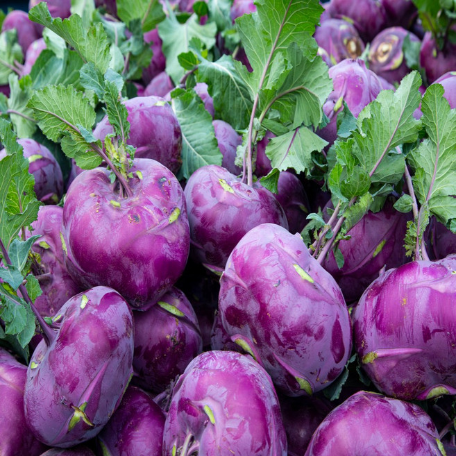 금메달농수산 정품 국내산 제주 콜라비 로얄과, 3kg, 1개