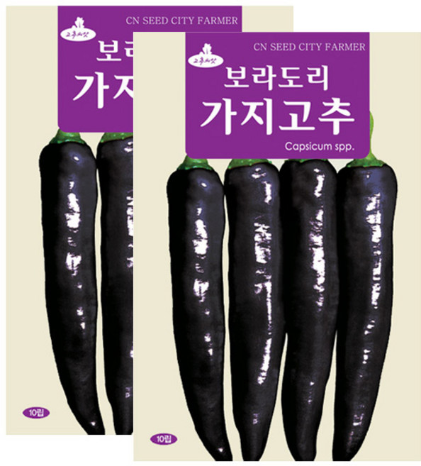 세인화분 보라도리 가지고추 10립 - 고추씨 고추씨앗, 2개