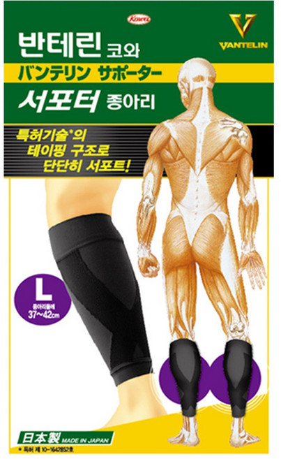 반테린코와 서포터 종아리 보호대 L사이즈