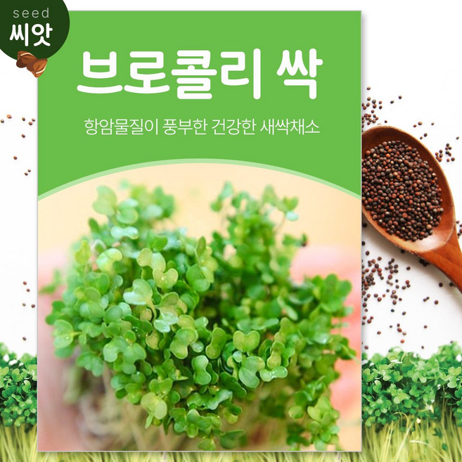 SKFARM 새싹 브로콜리 씨앗 30g, 2개
