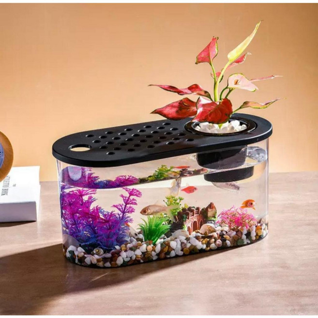 邦邦水族 黑透明壓克力魚缸(可水培植物)小號, 1個