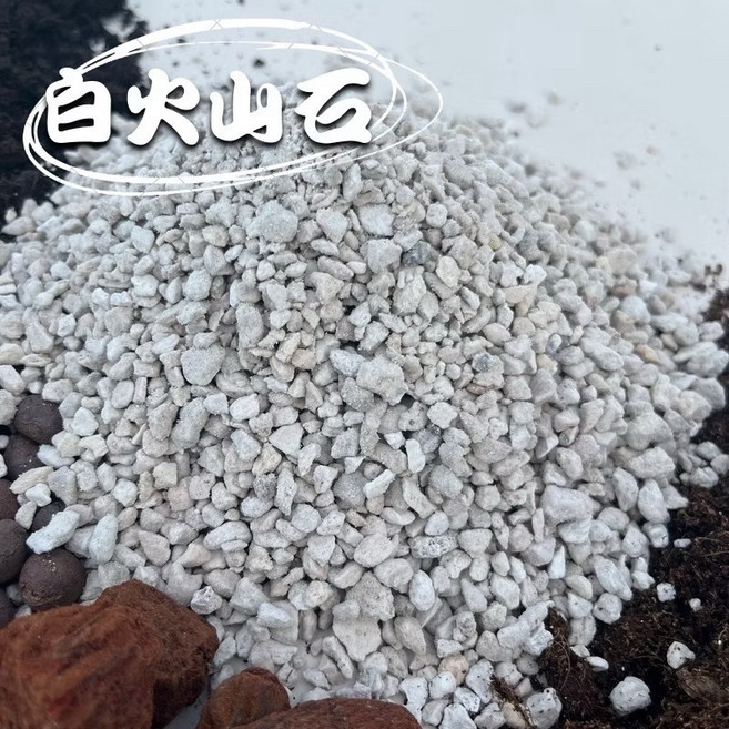 合作社阿姨 白火山石 園藝介質 鋪面石 排水層石 裝飾石, 1個, 白火山石3-8mm 半包(約1.4公升)
