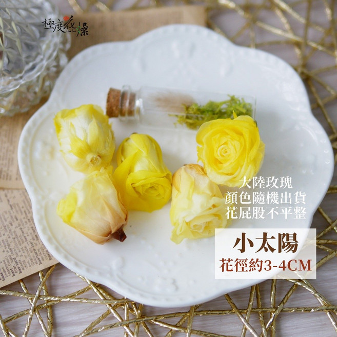極度花燥 永生玫瑰 小太陽 花徑約3-4CM, 【永生大陸玫瑰】小太陽 限定!!,一朵