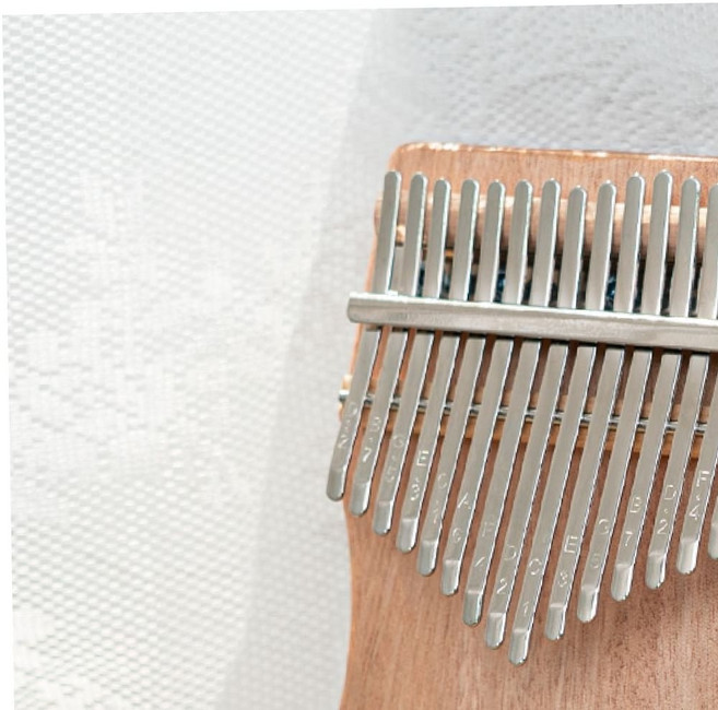 교육용악기 캥거 칼림바 올솔리드 마호가니 플레이트 (NM02) 79000EA 1EA, 본상품