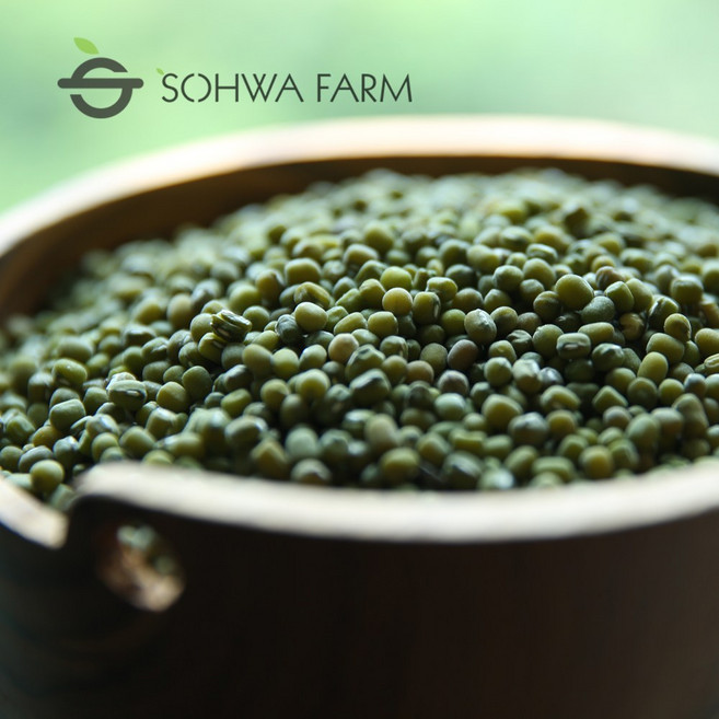 국산 녹두 1kg 햇 통녹두, 1개