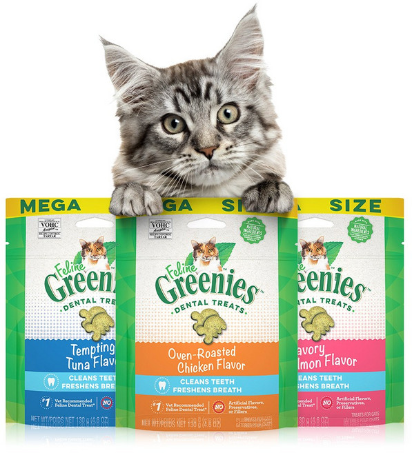 그리니즈 필라인 이빨과자 3종 콤보 3개입(60gX3P), 1개, 3종 세트