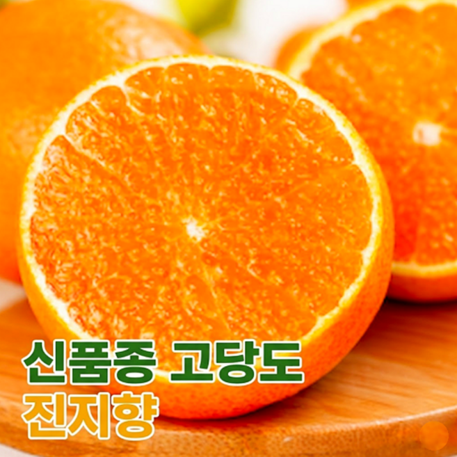 [단하루특가] 고당도 제주 감귤, 1개, 한정특가)_5KG 품절임박