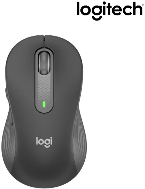 로지텍 SIGNATURE 블루투스 멀티 마우스 M650 L, 그래파이트
