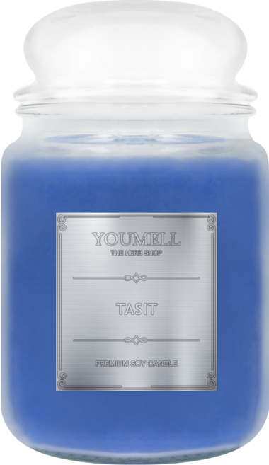 유멜 소이캔들 567g, 1개, 테싯