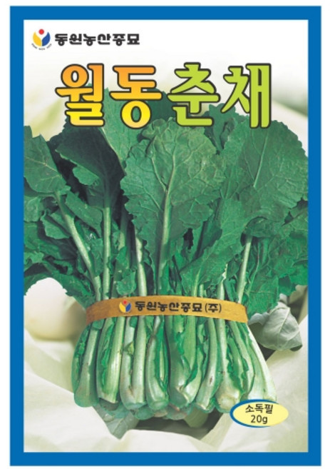 영농사 월동춘채 씨앗 20g 하루나 겨울초 유채나물 씨앗, 4개