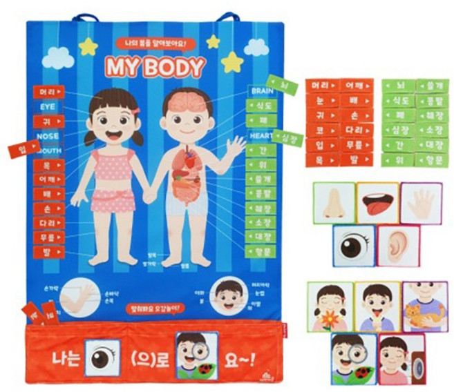 MK학습벽보 펠트교구 MC3045 차트 소중한 나의 몸 배우기, 1개