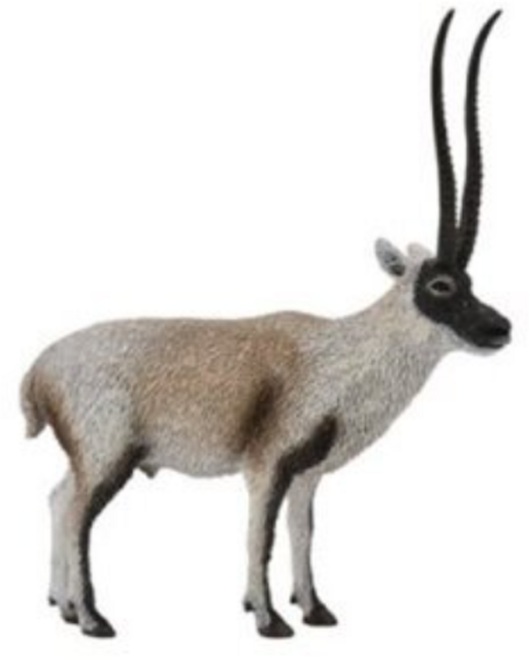 컬렉타 88721 티베트 영양 동물 피규어, 1개