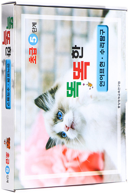 학습지 한글학습지 유아학습지 어린이집교재 수학학습지 홈스쿨링, 똑똑한학습지 5세