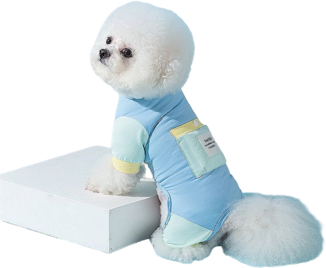 강아지 버그가드 진드기방지옷 올인원 쿨링 자외선차단 아이스팩 해충방지 쿨티 소형견 중형견 여름옷 안티버그, 1개, 블루