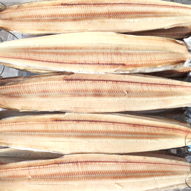 국산 [제주] 촉촉한 반건조 건갈치 조림, 1개, 건갈치 (대) 40미