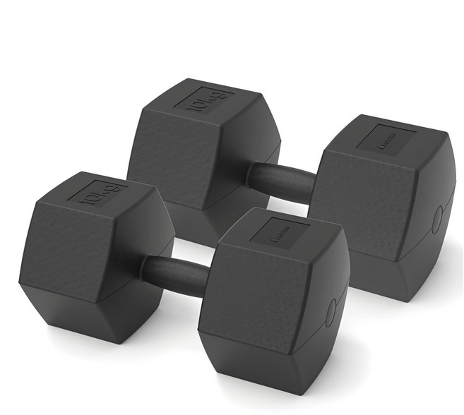 이고진 블랙육각 아령, 10kg, 2개