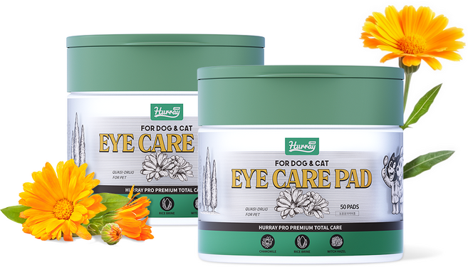 허레이 프로 아이케어패드 강아지 눈물자국 눈물세정제 고양이 눈꼽, 2개, 150ml