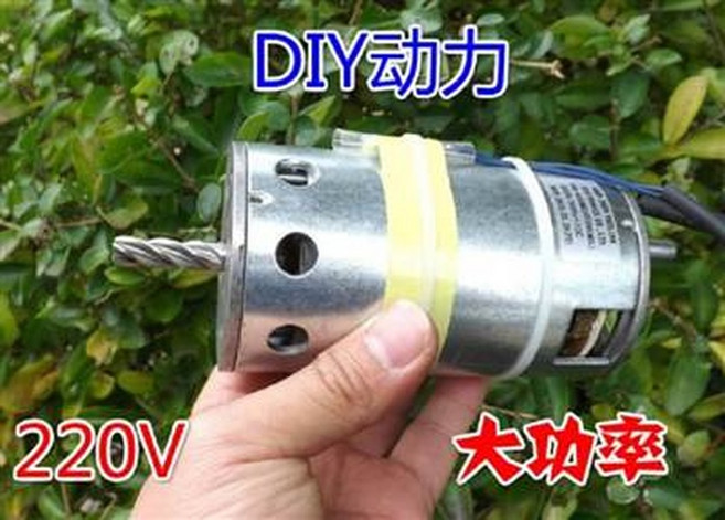 220V 大功率 DIY 馬達, 1個