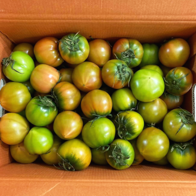 짭짤한 아삭 대저 토마토 2.5kg, 1박스, S-3S사이즈
