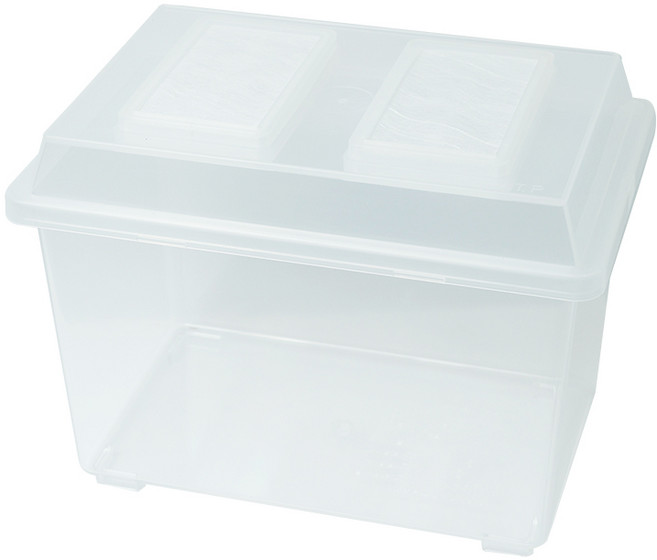 코바에셔터 사육케이스 (사슴벌레 장수풍뎅이 채집통 초파리방지 파충류 양서류) - 꿈도미, 소, 1개, 투명