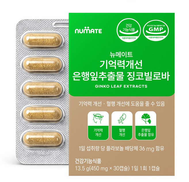 뉴메이트 기억력개선 은행잎추출물 징코빌로바, 30정