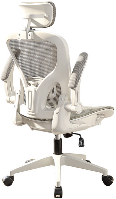 Xpanse 901 青少年學生椅 人體工學椅 家用辦公椅 可翻轉護手 電腦椅電競椅旋轉升降椅, W901白色-冰絲全網-可逍遙