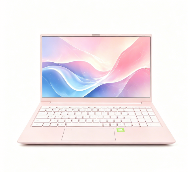 16.1인치 노트북 AMD A6-7310U 32GB RAM 512GB SSD FHD IPS 윈도우10 가성비 노트북, 핑크, WIN10