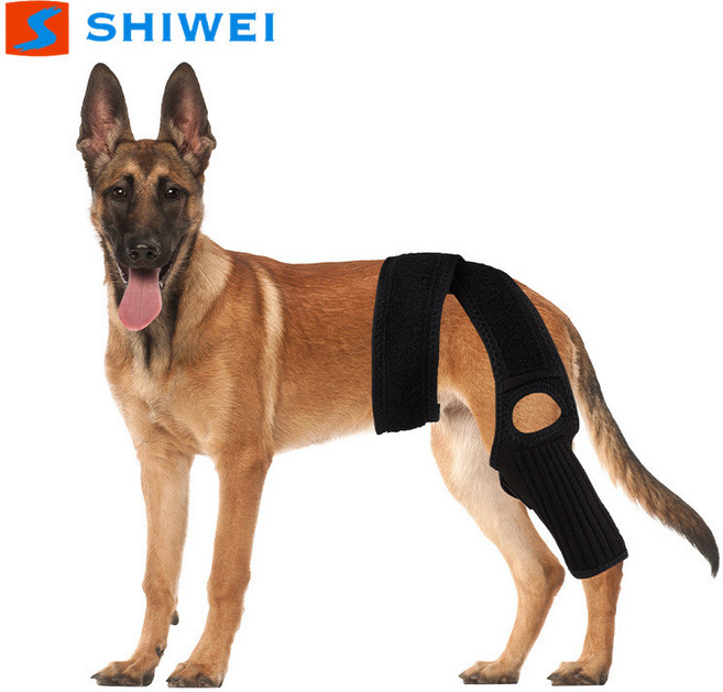 新竹出貨 寵物狗狗關節保護套護腿狗護膝韌帶撕裂受傷保護關節護具, 黑色單隻裝,M, 1個