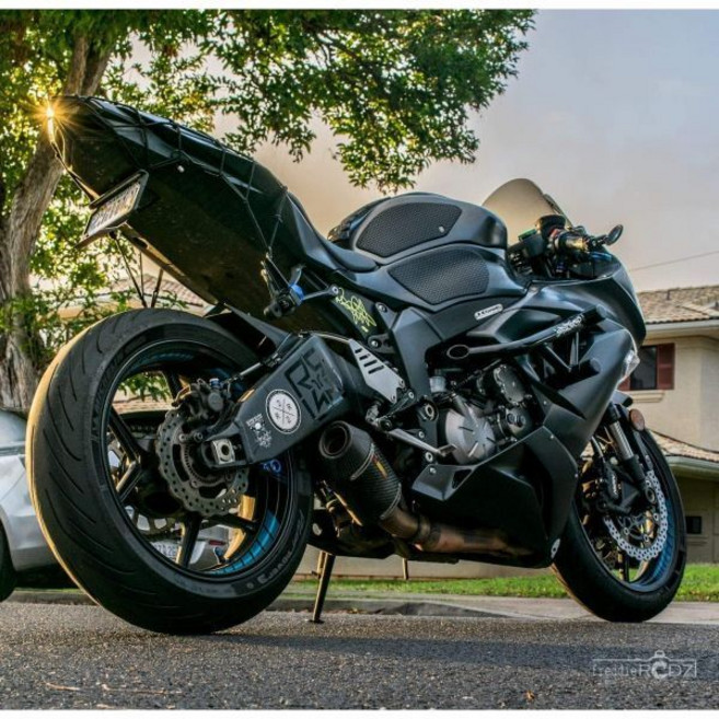 테크스펙 그립스터 탱크 그립 가와사키 닌자 ZX6R 636 2013 현재 TP 6 – 622509SS 스네이크 스킨 포함, 1개