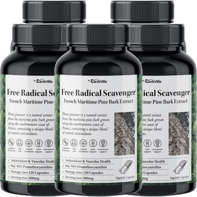 어스빌 프랑스해안송소나무껍질 500mg 프로안토시아니딘 안토시아닌 폴리페놀, 120정, 5개