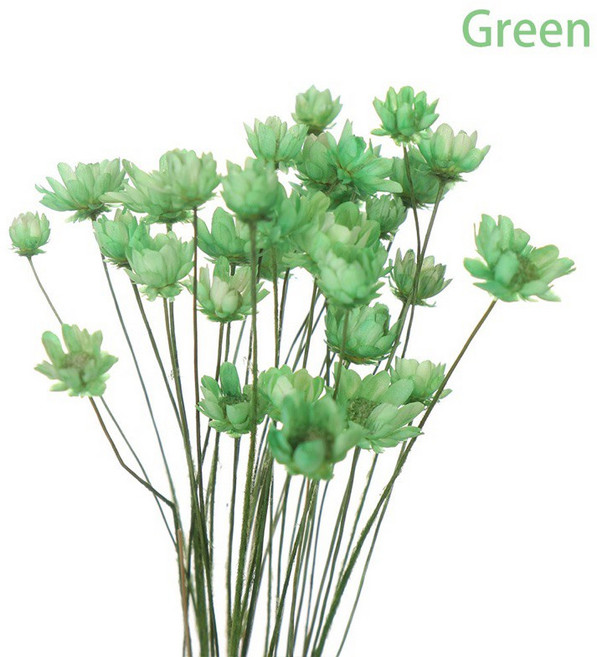 巴西小星花迷你永生花束 居家店面裝飾乾燥花 DIY拍攝花材, 綠色/一束30支