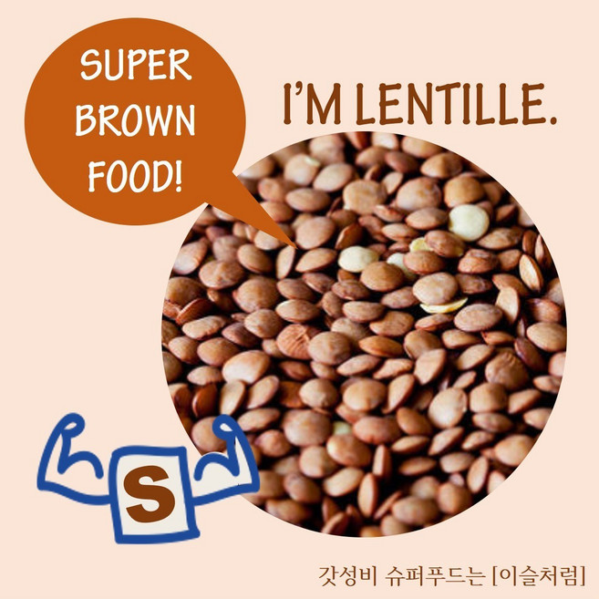 이슬처럼 수입 미국산 채식 렌틸콩 1kg, 1개