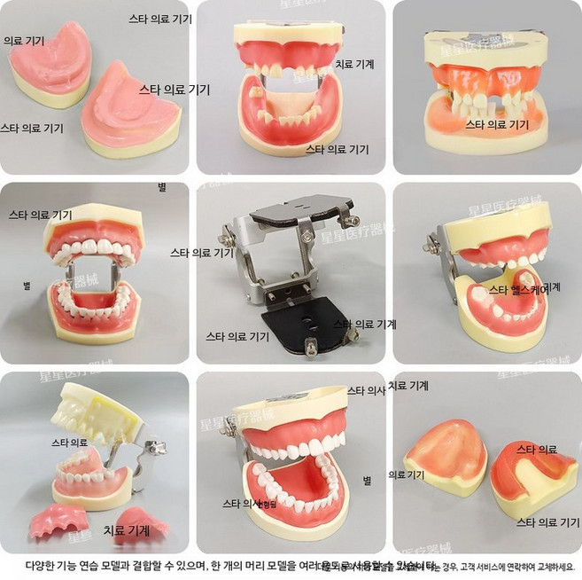 치과 시뮬레이션용 레진 치아 모형 가철식 두부 구강 교육용 해부학 실습 교 M1003 연습 치아 모델 교체, 1개