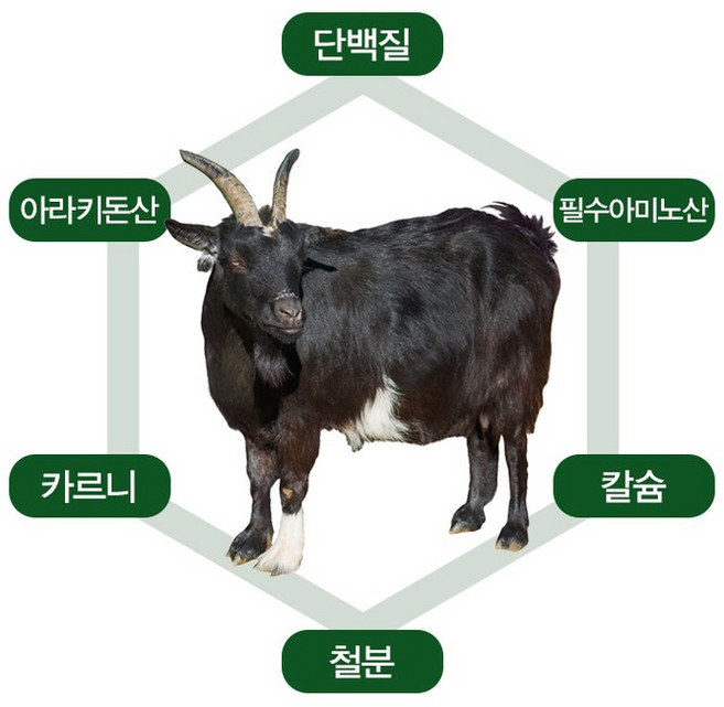 명품 프리미엄 흑염소 엄선한 한방원료, 30개, 70ml