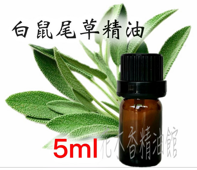 白鼠尾草精油, 1個, 10ml