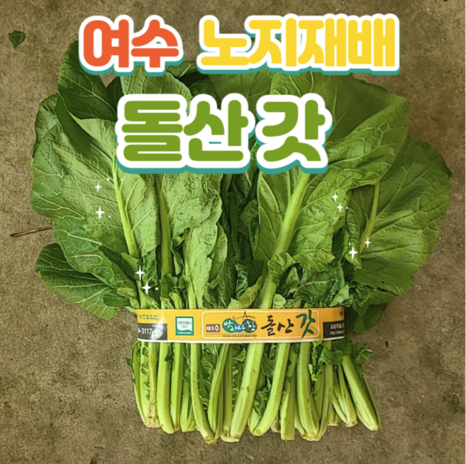 [돌산총각] 여수 돌산갓 생갓 노지재배, 10kg, 1박스