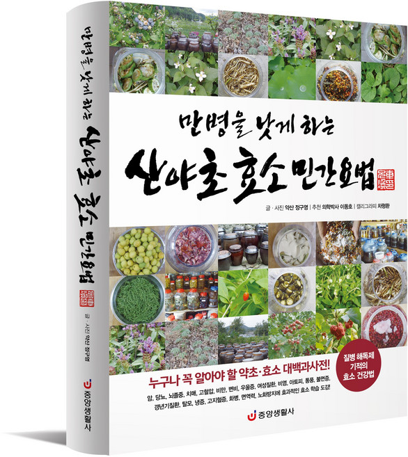 [중앙생활사 본사직영] 만병을 낫게 하는 산야초 효소 민간요법