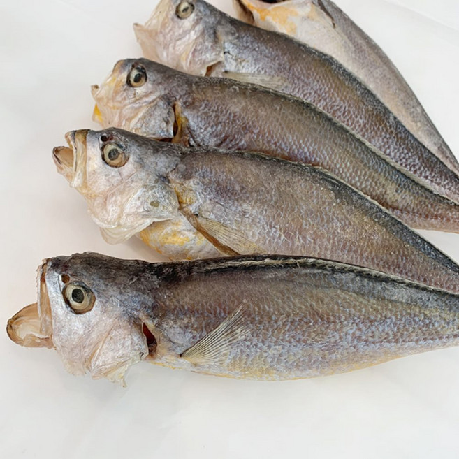 반건조 조기 5미 말린 부세 마른 제수용 제사 생선 보리 굴비 선물 부서 찐 흰살, 대 3미
