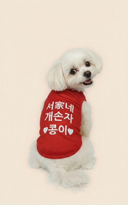 맞춤 티셔츠 이름 각인 제작 내맘대로 티셔츠 강아지 옷 XS S M L XL 2XL, 1개, 레드(일반)
