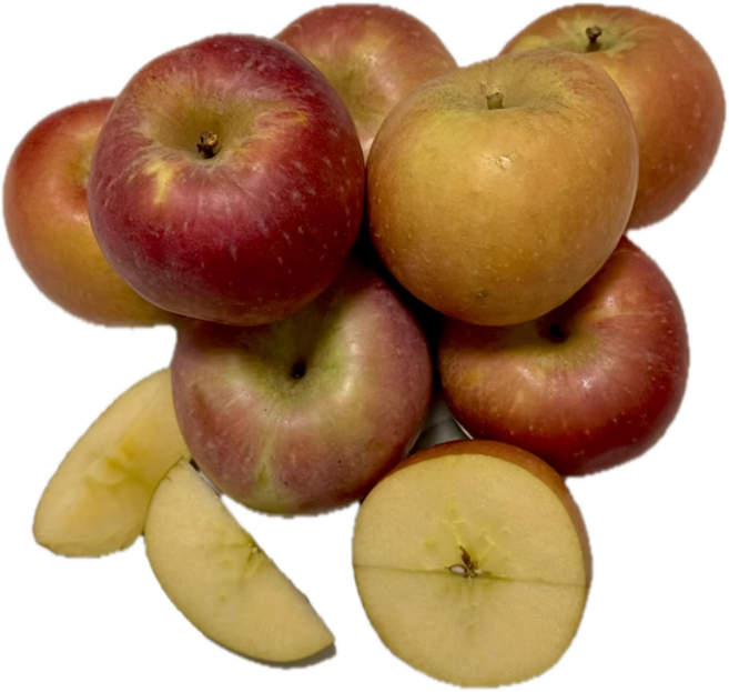 [쥬스용아님] 초특가할인 토X쇼핑1위 선별 못난이사과, 1박스, 5kg