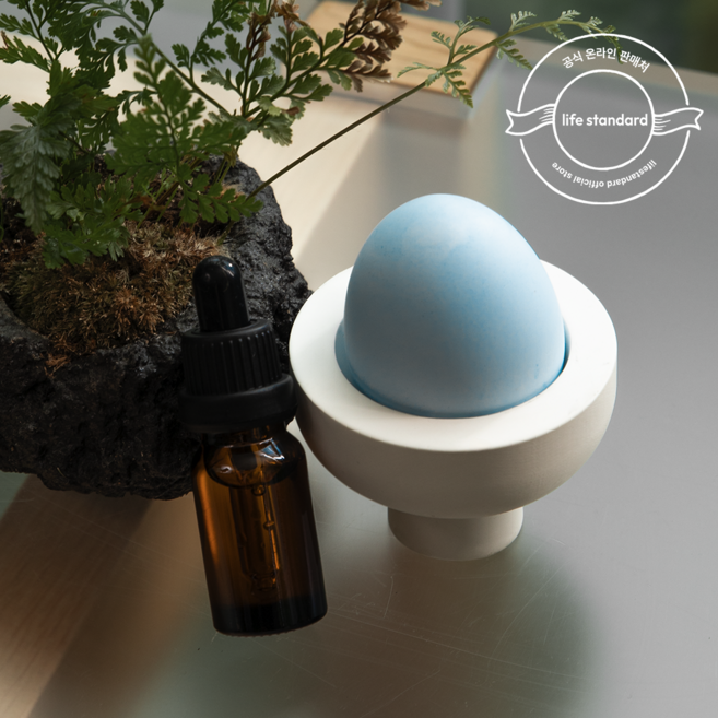 라이프스탠다드 냄새먹는 달걀 디퓨저 패키지 퍼스트리프 그린계열향, 1세트, 100g