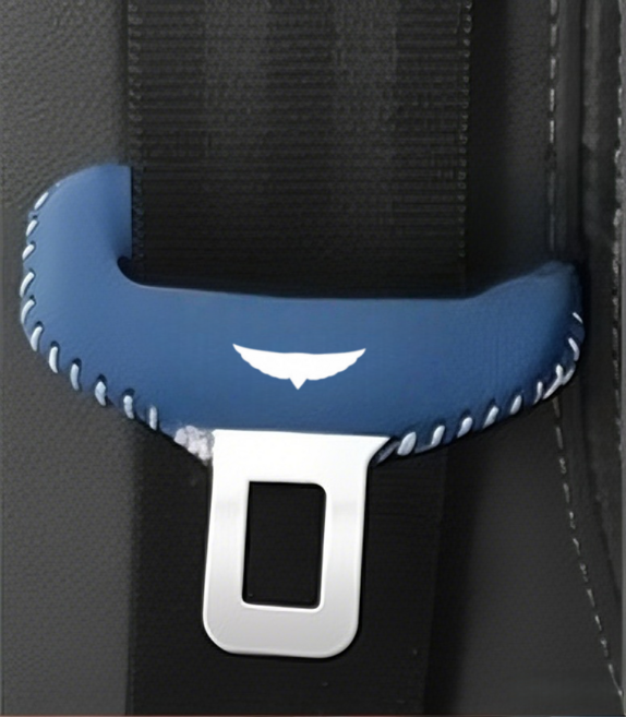 차량용 안전벨트 버클 보호 커버 방진 방수 편안 설치 용이 세척 가능 내구성 제네시스 전용, 2개, 파랑Blue