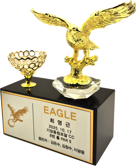 상패팡팡 홀인원패 싱글패 이글패 골프트로피 003 골드 골프모션 금속 골프스윙모습 이븐파 언더파 골프대회 주문제작 신제품 트로피공장 트로피제작, 1개