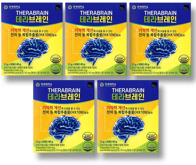 연세대 테라브레인, 60g, 5개