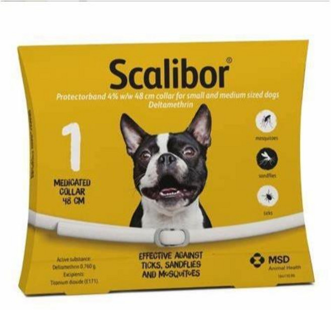 돌단비 강아지 유전자 검사 키트 혈통 DNA 테스트, 1개, 네덜란드 강아지 65CM