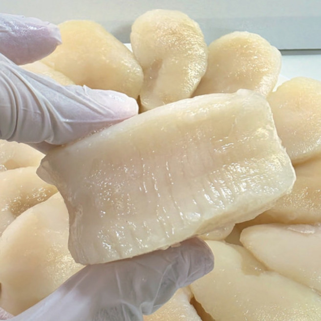 자연산 키조개 관자 1kg 업소용 대용량 벌크 식당용 프리미엄 냉동 바른유통, 1박스, 1kg (11/15)